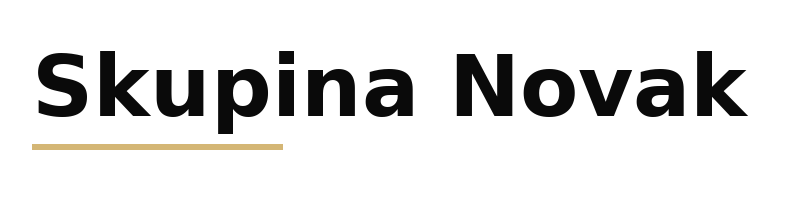 Skupina Novak logo